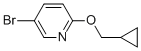 5-bromo-2-(cyclopropylmethoxy)pyridine CAS#: 494772-02-0