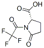 5-oxo-1-(trifluoroacetyl)proline CAS#: 46383-55-5