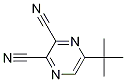 5-tert-butylpyrazine-2,3-dicarbonitrile CAS#: 51440-69-8
