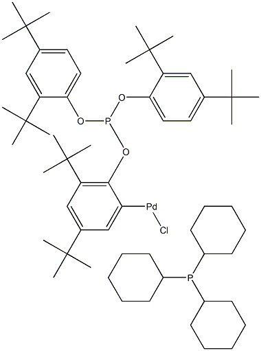 Chloro(η2-P,C-tris(2,4-di-tert-butylphenyl)phosphite)(tricyclohexylphosphine)palladiuM(II), SaMCat CAS#: 502964-53-6