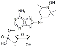 8-TEMPO-aminoadenosine Cyclic 3’5’Monophosphate CAS#: 54606-91-6