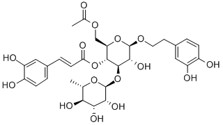 6-O-ACETYLACTEOSIDE CAS#: 441769-43-3