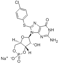 8-(4-CHLOROPHENYLTHIO)GUANOSINE 3',5'-CYCLIC MONOPHOSPHATE SODIUM SALT CAS#: 51239-26-0