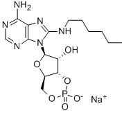 8-HA-CAMP SODIUM SALT CAS#: 59212-44-1