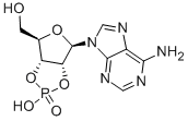 ADENOSINE-2',3'-CYCLIC PHOSPHATE CAS#: 634-01-5