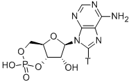ADENOSINE-8(3)H 3',5'-CYCLIC MONOPHOSPHATE CAS#: 50816-76-7