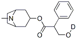 ATROPINE-D3 98 ATOM % D CAS#: 51-54-7