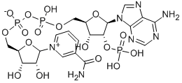 BETA-NAADP SODIUM SALT CAS#: 5502-96-5