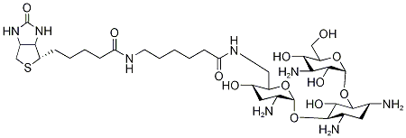 BIOTINAMIDOCAPROATE TOBRAMYCIN AMIDE CAS#: 419573-19-6