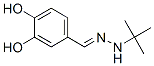 Benzaldehyde, 3,4-dihydroxy-, (1,1-dimethylethyl)hydrazone (9CI) CAS#: 473238-79-8