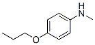 Benzenamine, N-methyl-4-propoxy- (9CI) CAS#: 485795-30-0