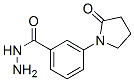 Benzoic acid, 3-(2-oxo-1-pyrrolidinyl)-, hydrazide (9CI) CAS#: 420097-54-7