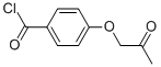 Benzoyl chloride, 4-(2-oxopropoxy)- (9CI) CAS#: 500869-20-5