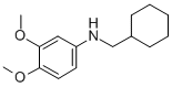 CYCLOHEXYLMETHYL-(3,4-DIMETHOXY-PHENYL)-AMINE CAS#: 416865-35-5