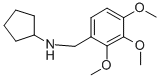 CYCLOPENTYL-(2,3,4-TRIMETHOXY-BENZYL)-AMINE CAS#: 418788-93-9