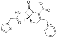 Cephaloridine CAS#: 50-59-9