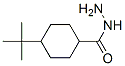 Cyclohexanecarboxylic acid, 4-(1,1-dimethylethyl)-, hydrazide (9CI) CAS#: 438531-50-1