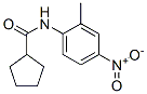 Cyclopentanecarboxamide, N-(2-methyl-4-nitrophenyl)- (9CI) CAS#: 404352-87-0