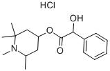 EUCATROPINE HYDROCHLORIDE CAS#: 536-93-6