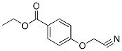 Ethyl 4-(cyanomethoxy)benzoate CAS#: 501662-75-5