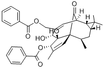 INGENOL 3,20-DIBENZOATE CAS#: 59086-90-7