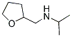 ISOPROPYL-(TETRAHYDRO-FURAN-2-YLMETHYL)-AMINE CAS#: 5064-46-0