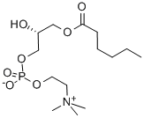 L-ALPHA-LYSOPHOSPHATIDYLCHOLINE, CAPROYL CAS#: 58445-96-8