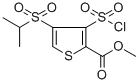 METHYL 3-(CHLOROSULFONYL)-4-(ISOPROPYLSULFONYL)-2-THIOPHENECARBOXYLATE CAS#: 423768-47-2