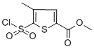 METHYL 5-(CHLOROSULFONYL)-4-METHYL-2-THIOPHENECARBOXYLATE CAS#: 423768-46-1