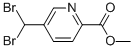 METHYL 5-(DIBROMOMETHYL)PICOLINATE CAS#: 55876-83-0