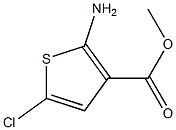 Methyl 2-aMino-5-chlorothiophene-3-carboxylate CAS#: 55503-06-5