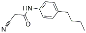 N-(4-BUTYL-PHENYL)-2-CYANO-ACETAMIDE CAS#: 54153-20-7
