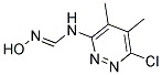 N-(6-CHLORO-4,5-DIMETHYLPYRIDAZIN-3-YL)-N'-HYDROXYIMINOFORMAMIDE CAS#: 51519-17-6