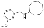N-CYCLO-OCTHYL-M-METHOXYBENZYLAMINE CAS#: 416870-04-7