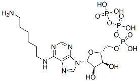 N(6)-aminohexyladenosine triphosphate CAS#: 53602-93-0