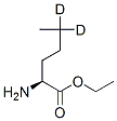 Norleucine-5,5-d2, ethyl ester (9CI) CAS#: 6141-43-1