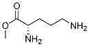 Ornithine methyl ester CAS#: 6384-10-7