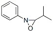 Oxaziridine, 3-(1-methylethyl)-2-phenyl- (9CI) CAS#: 54188-01-1