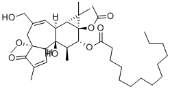 PHORBOL 12-MYRISTATE 13-ACETATE 4-O-METHYL ETHER, 4BETA CAS#: 57716-89-9