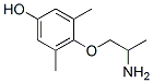 Phenol, 4-(2-aminopropoxy)-3,5-dimethyl- CAS#: 53566-99-7