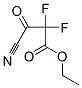 Propanoic acid, 3-cyano-2,2-difluoro-3-oxo-, ethyl ester CAS#: 408529-04-4