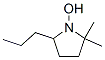 Pyrrolidine, 1-hydroxy-2,2-dimethyl-5-propyl- (9CI) CAS#: 412016-74-1
