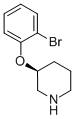 S-3-(2-BROMOPHENOXY)PIPERIDINE CAS#: 444605-45-2