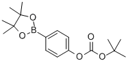 TERT-BUTYL-4-(4,4,5,5-TETRAMETHYL-1,3,2-DIOXABOROLAN-2-YL)PHENYLCARBONATE CAS#: 480438-75-3