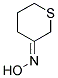 THIAN-3-ONE OXIME CAS#: 58230-51-6