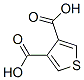 THIOPHENE-3,4-DICARBOXYLIC ACID CAS#: 6007-85-8
