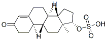 Testosterone sulfate CAS#: 651-45-6