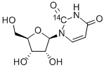 URIDINE-2-14C CAS#: 54-23-9