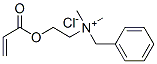 benzyldimethyl[2-[(1-oxoallyl)oxy]ethyl]ammonium chloride CAS#: 46830-22-2