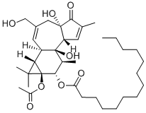 phorbolol myristate acetate CAS#: 56937-68-9